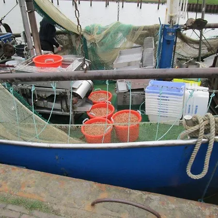 Apartment Ankerhuus, Am Alten Deich 6, Whg 1 18 *