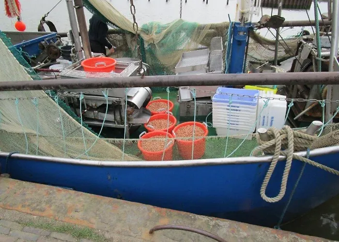 公寓 Ankerhuus, Am Alten Deich 6, Whg 1 18 *